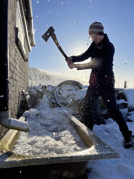 Thumbnail of photo from this article